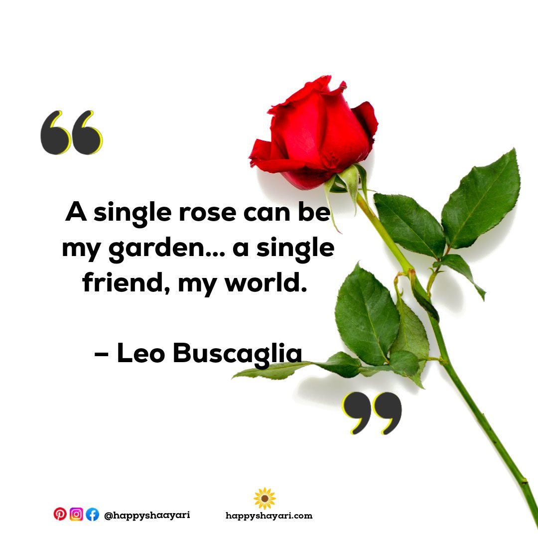 A single rose can be my garden… a single friend, my world. – Leo Buscaglia