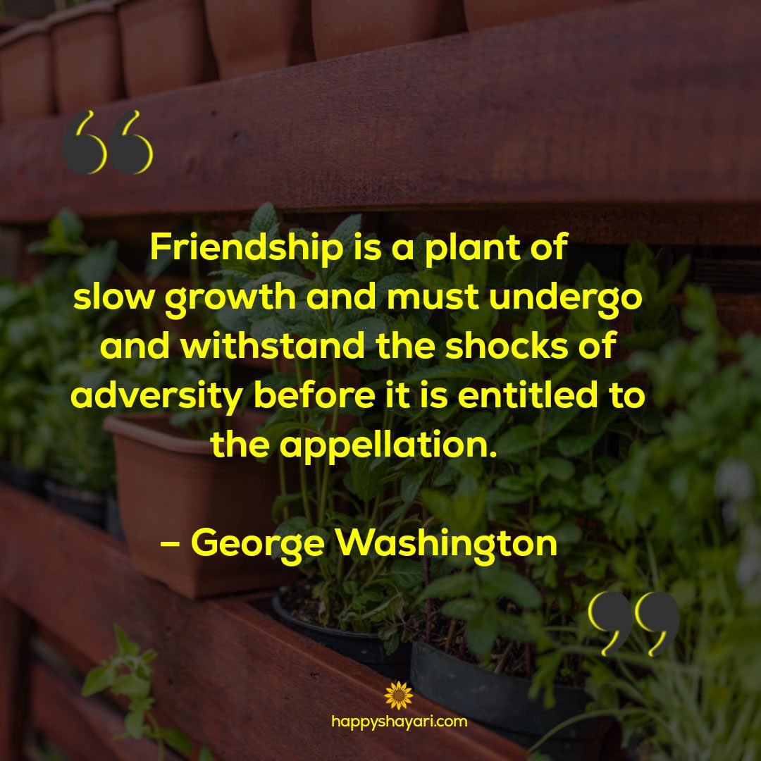 Friendship is a plant of slow growth and must undergo and withstand the shocks of adversity before it is entitled to the appellation. - George Washington