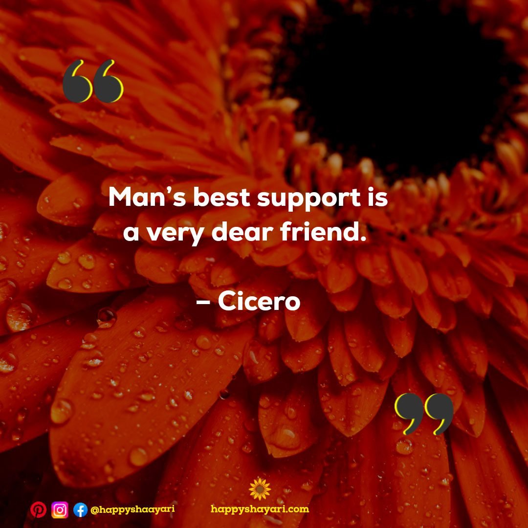 Man’s best support is a very dear friend. – Cicero