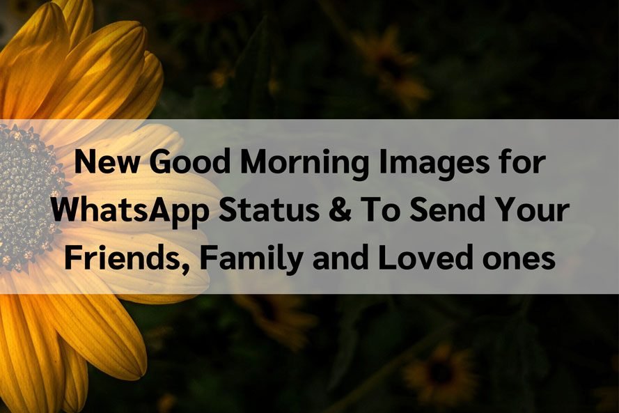 New Good Morning Images for WhatsApp Status & To Send Your Friends, Family and Loved ones