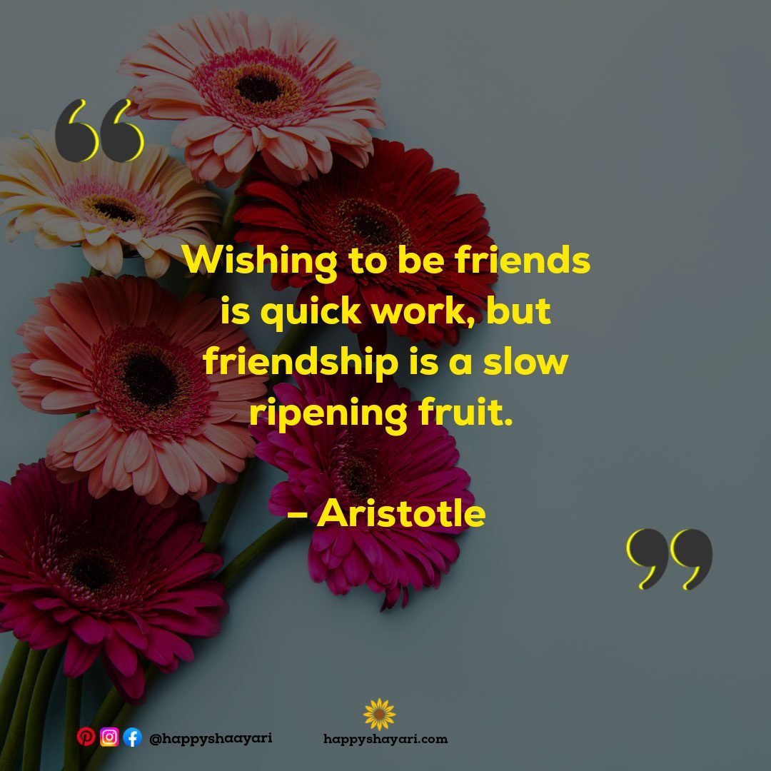 Wishing to be friends is quick work, but friendship is a slow ripening fruit. – Aristotle