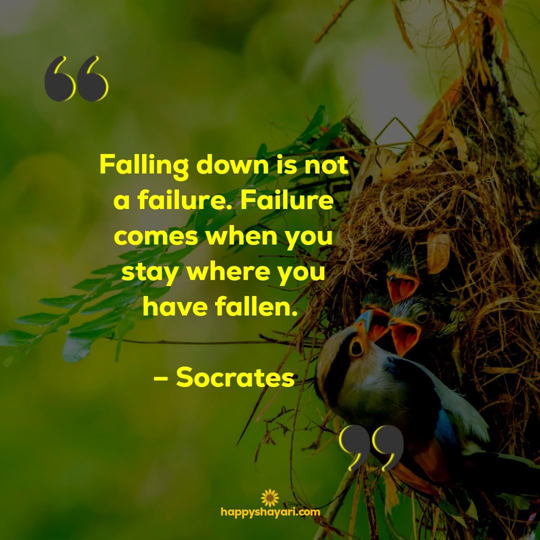 Falling down is not a failure. Failure comes when you stay where you have fallen. – Socrates
