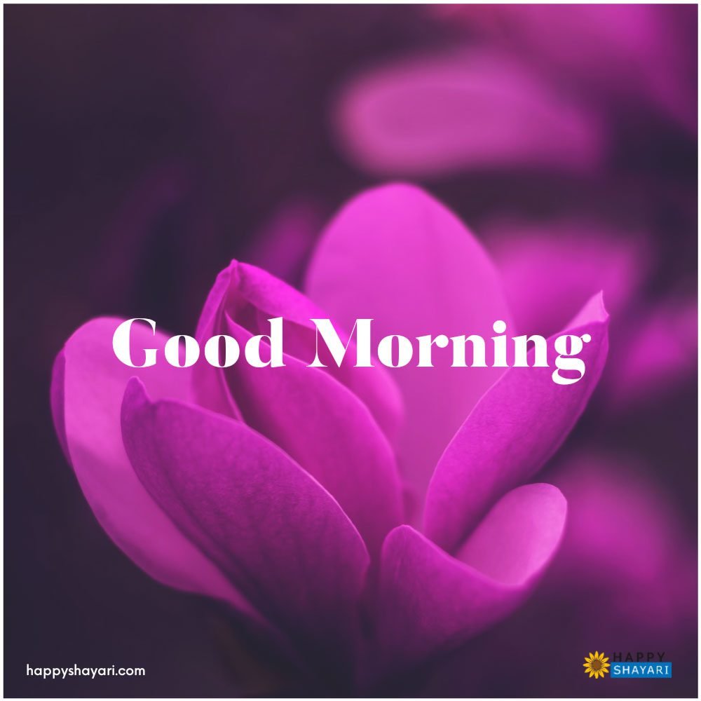 Good Morning Images With Flowers