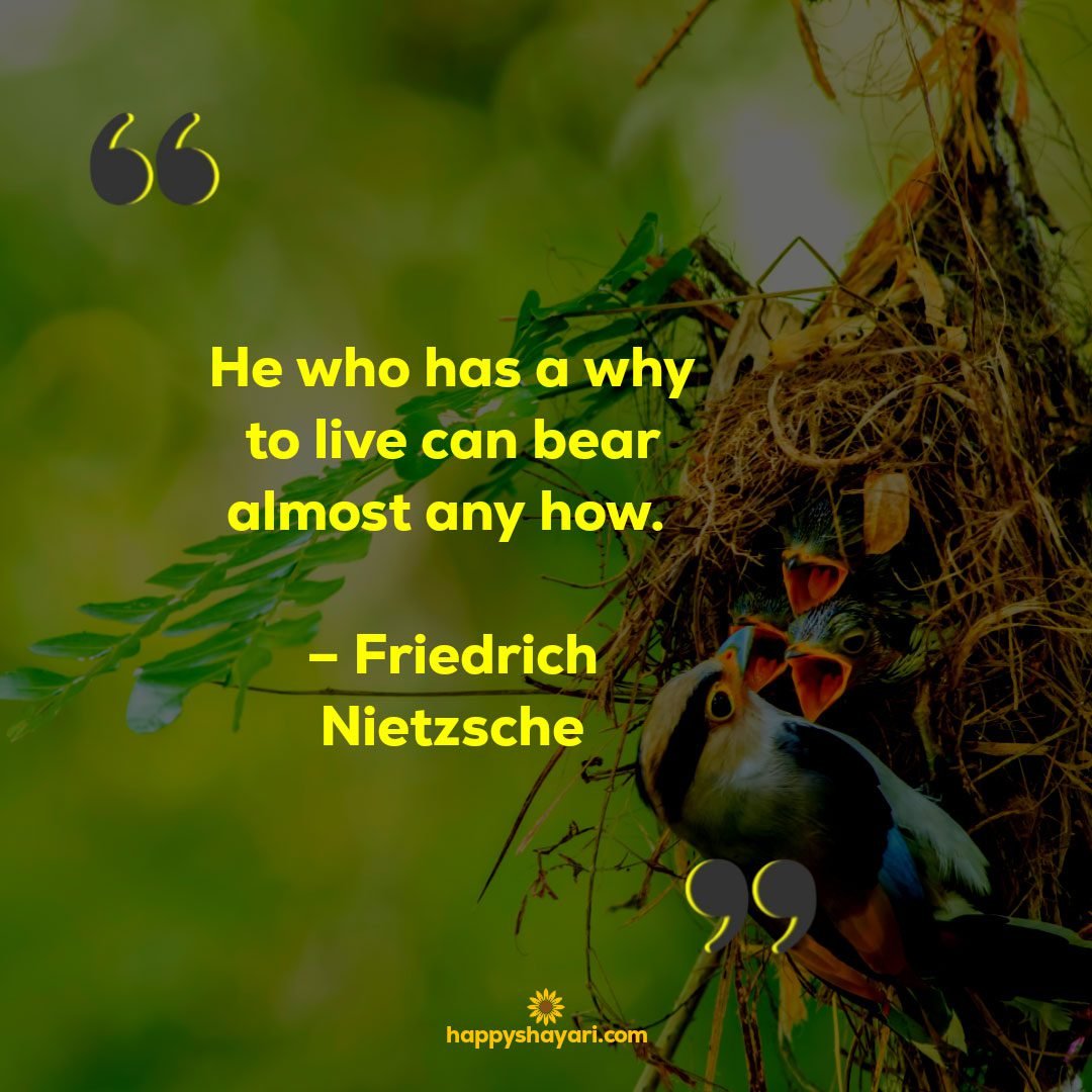 He who has a why to live can bear almost any how. – Friedrich Nietzsche