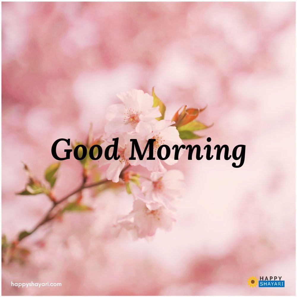 Images of Good Morning Wishes