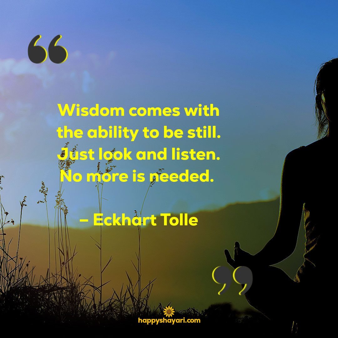 Wisdom comes with the ability to be still. Just look and listen. No more is needed. – Eckhart Tolle