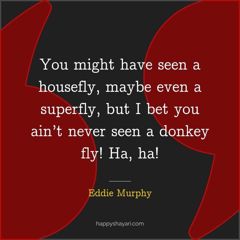 You might have seen a housefly, maybe even a superfly, but I bet you ain’t never seen a donkey fly! Ha, ha!